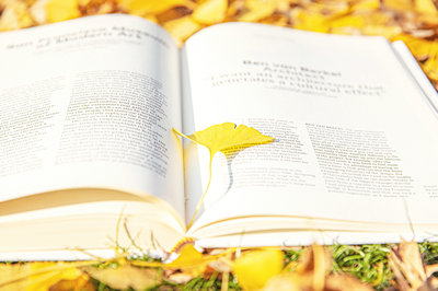 南開大學(xué)在職研究生
