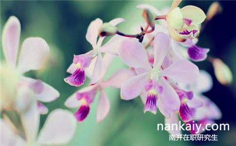 南開(kāi)大學(xué)在職研究生